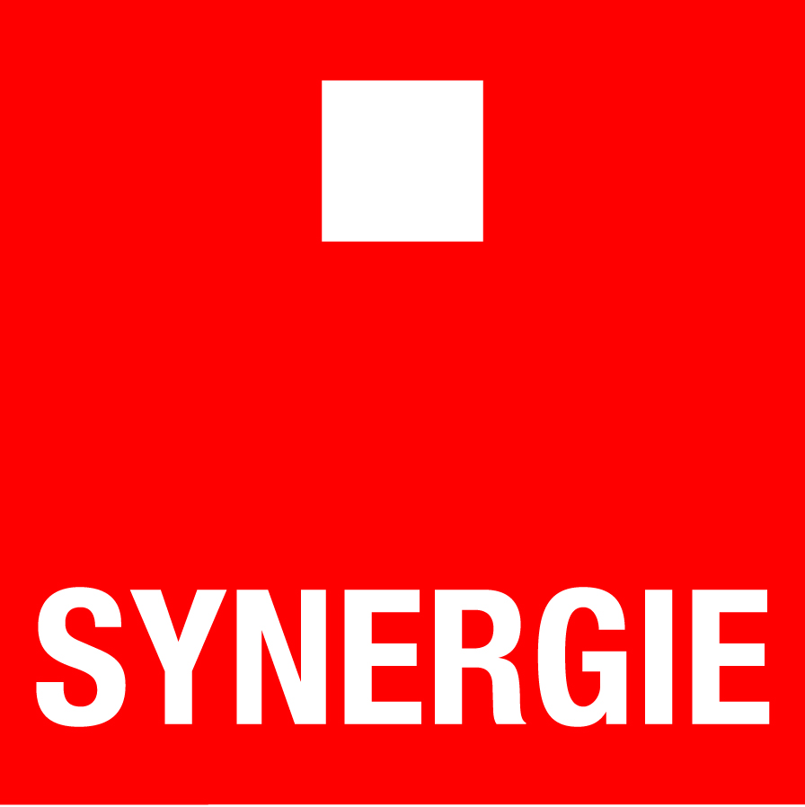logo_synergie_Quadri