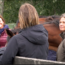 Taster – Kom en Ontdek wat ook jij kan leren van paarden!