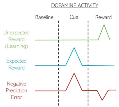 Dopamine loop