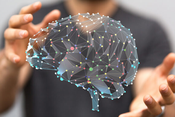 Neurowetenschap en paardencoaching, vallen die 2 te rijmen?